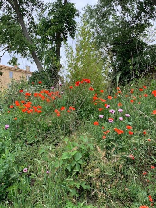 Gite Calme Et Cosy D' Eole Cornillon-Confoux ภายนอก รูปภาพ